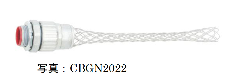 CBGN2022